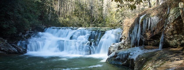 Hermosa vista de una cascada en un bosque con árboles y vegetación