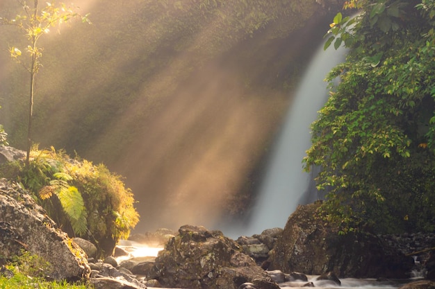 Hermosa vista de la cascada por la mañana.