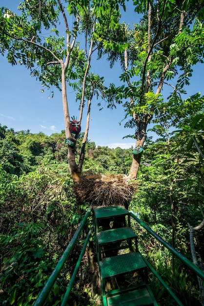 Una hermosa vista de la cascada de Tegenungan en Bali Indonesia