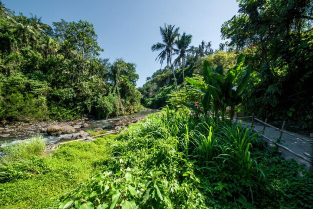 Una hermosa vista de la cascada de Tegenungan en Bali Indonesia