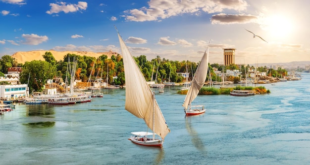 Hermosa vista de la ciudad del Nilo y feluccas de Asuán Egipto