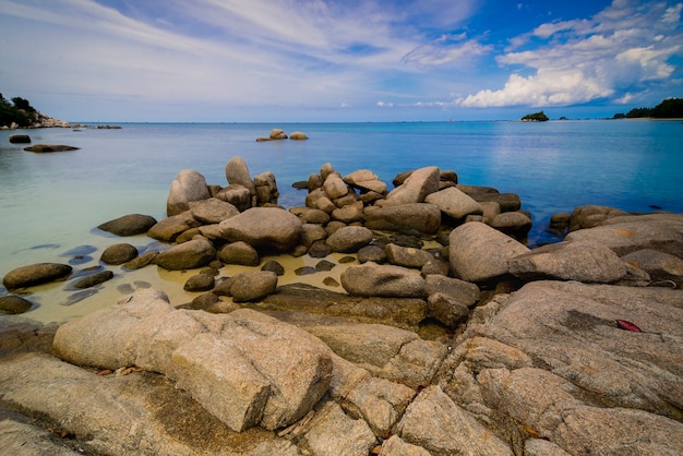 Hermosa vista con cocoteros a lo largo de la playa en la isla de Bintan