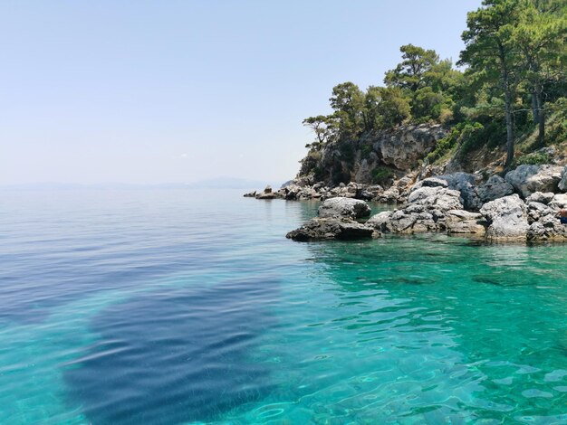 Hermosa vista de la costa azul, rocas y pinos. El mar Egeo. Turquía, Kusadasi.