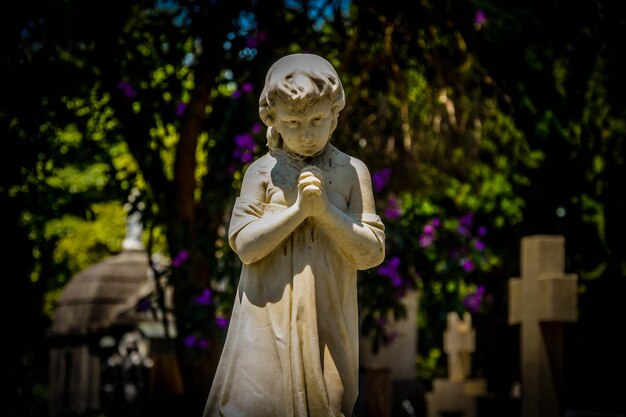 Una hermosa vista de las estatuas del cristianismo ubicadas en Sao Paulo Brasil