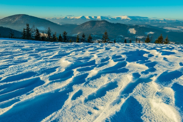 Hermosa vista fascinante de las olas de nieve de esquí con vistas al bosque de coníferas y las cadenas montañosas en un soleado día de invierno helado. Concepto de vacaciones de esquí. Espacio publicitario