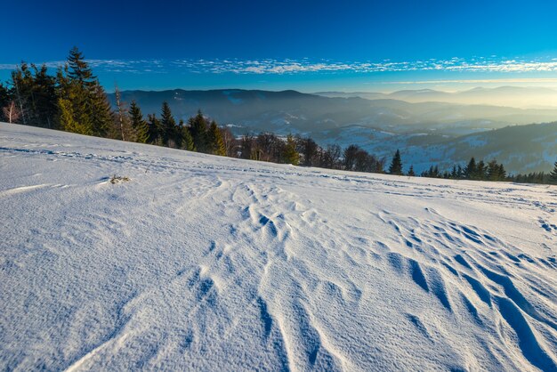 Hermosa vista fascinante de las olas de nieve de esquí con vistas al bosque de coníferas y cadenas montañosas en un soleado día de invierno helado