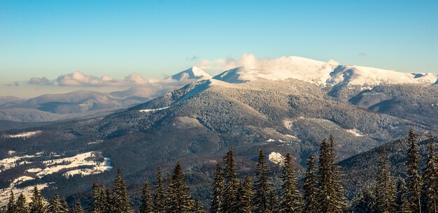 Hermosa vista fascinante de un valle montañoso y un bosque de abetos en invierno