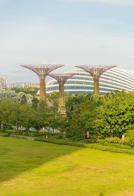 Una hermosa vista de Gardens by the bay ubicado en Singapur