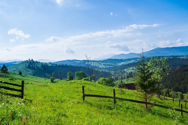 Hermosa vista hechizante de un pueblo rural ubicado en una zona montañosa entre abetos y árboles de hoja caduca y pasto sobre un fondo de nubes blancas