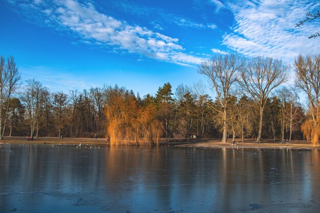 hermosa vista invernal sobre un lago en ingolstdt alemania lago congelado patos y cisnes en un lago invernal