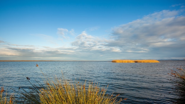 Hermosa vista de la isla en el lago Paleostomi