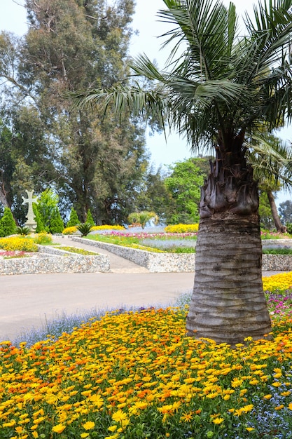 Hermosa vista del jardín botánico de Batumi, Georgia