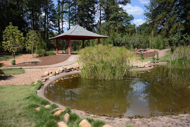 Una hermosa vista del jardín botánico ubicado en Brasilia Brasil