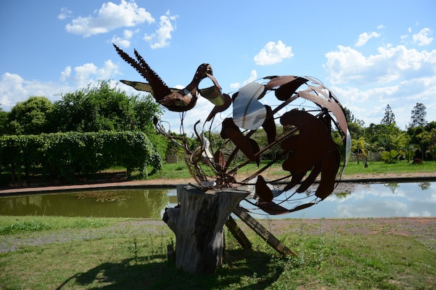 Una hermosa vista del jardín botánico ubicado en Brasilia Brasil