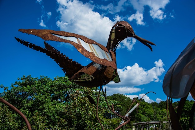 Una hermosa vista del jardín botánico ubicado en Brasilia Brasil