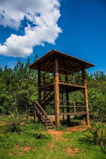 Una hermosa vista del jardín botánico ubicado en Brasilia Brasil