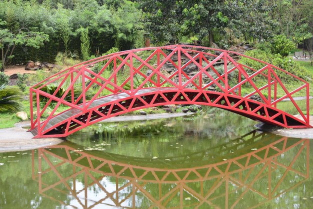 Una hermosa vista del jardín botánico ubicado en Brasilia Brasil