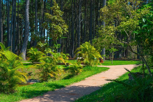 Una hermosa vista del Jardín Botánico ubicado en Brasilia Brasil