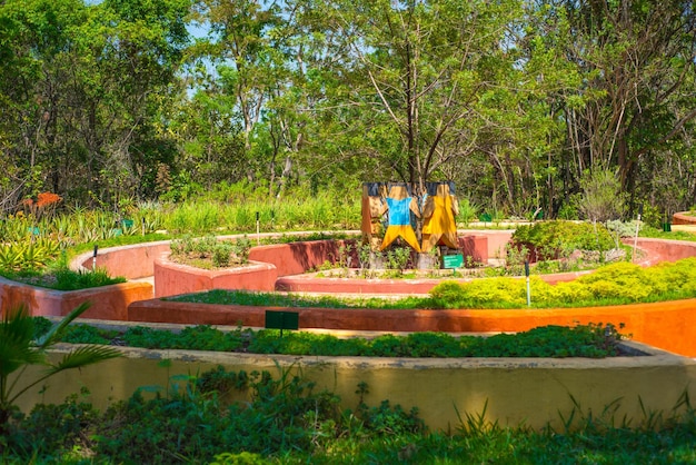Una hermosa vista del Jardín Botánico ubicado en Brasilia Brasil