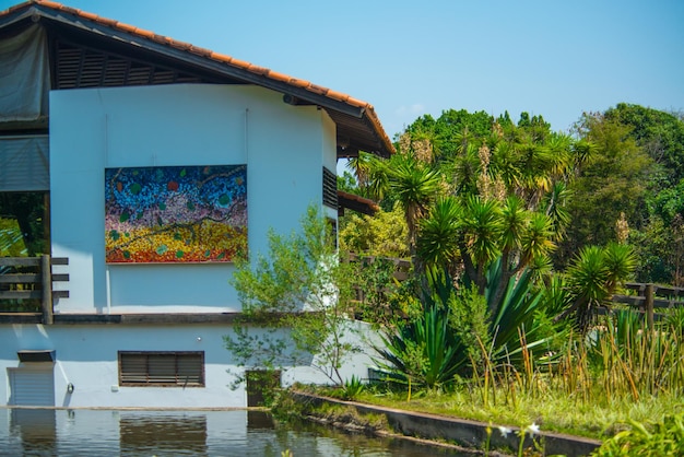 Una hermosa vista del Jardín Botánico ubicado en Brasilia Brasil