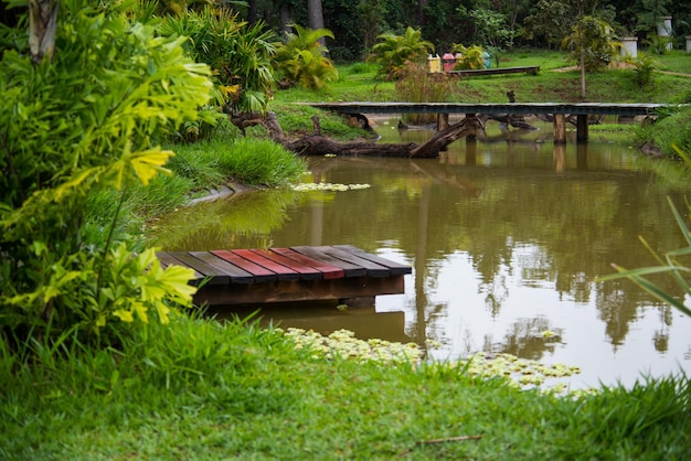 Una hermosa vista del Jardín Botánico ubicado en Brasilia Brasil