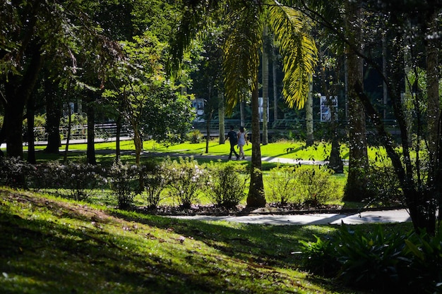 Una hermosa vista del jardín botánico ubicado en Sao Paulo Brasil