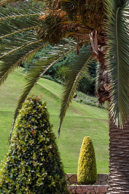 Hermosa vista de los jardines públicos de Bahai en Haifa en Israel