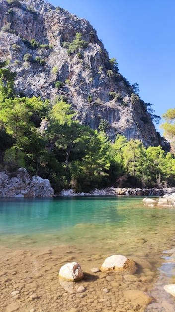 hermosa vista lago bosque y montañas