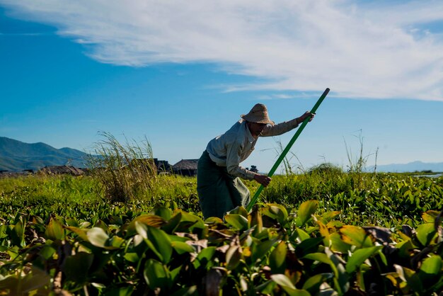 Una hermosa vista del lago Inle en Myanmar