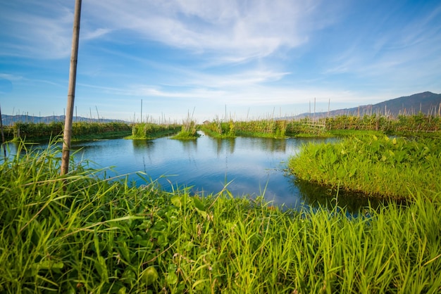 Una hermosa vista del lago Inle Myanmar