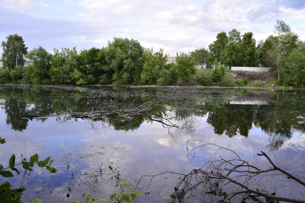 Hermosa vista de un lago rodeado de árboles El lago está rodeado de árboles Ulyanovsk Rusia