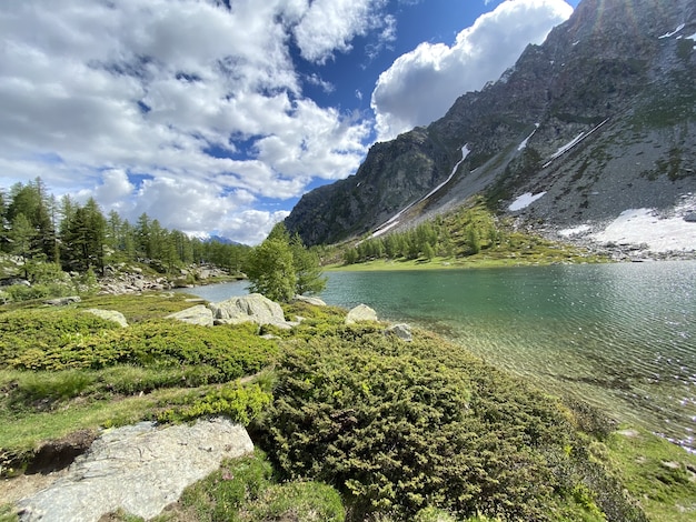 Hermosa vista de un lago rodeado por un bosque y montañas nevadas