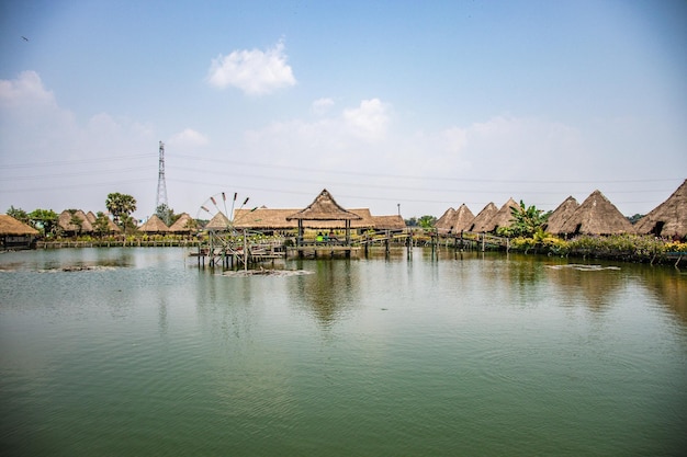 Una hermosa vista de Lotus Flower Farm ubicada en Siem Reap Camboya
