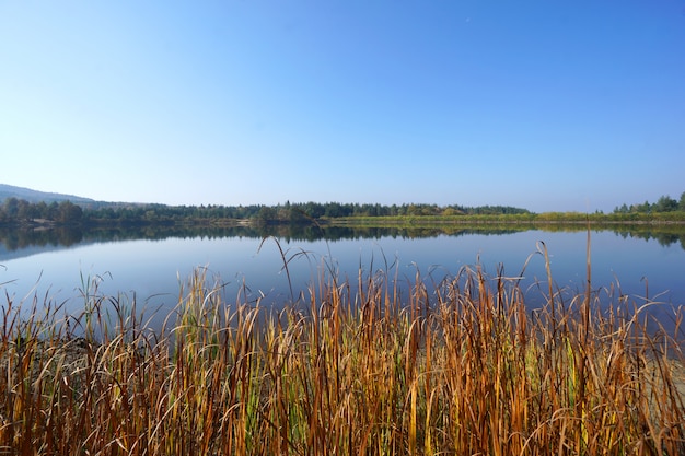 Hermosa vista de la mañana del pequeño lago