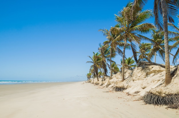 Hermosa vista de Mangue Seco en Bahia