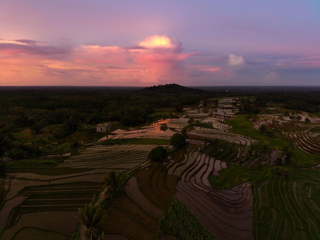 Hermosa vista matutina de Indonesia Foto aérea de terrazas de arroz y hermoso cielo al amanecer