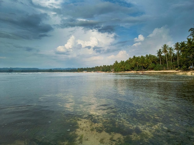 hermosa vista matutina desde Indonesia de montañas y bosques tropicales