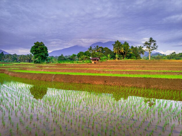 hermosa vista matutina desde Indonesia de montañas y bosques tropicales