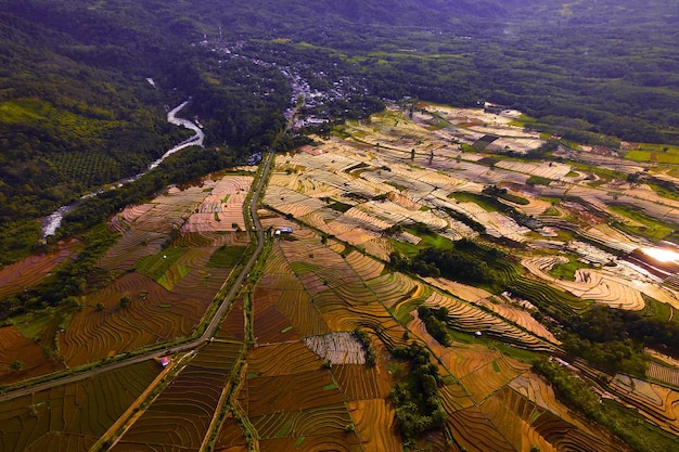 Foto hermosa vista matutina desde indonesia de montañas y bosques tropicales