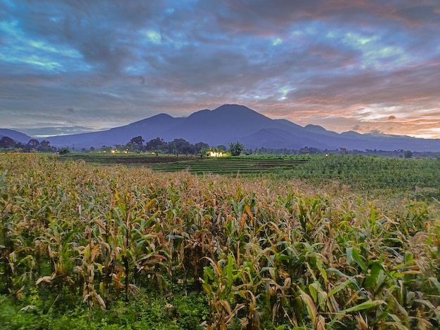 Foto hermosa vista matutina desde indonesia de montañas y bosques tropicales