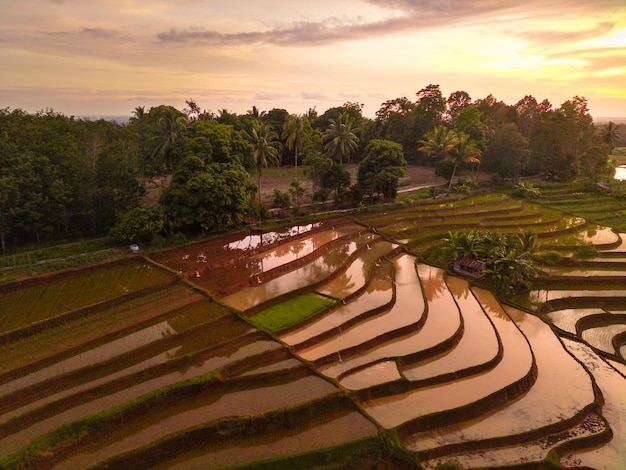 Hermosa vista matutina indonesia Panorama Paisaje arrozales con color de belleza y cielo natura