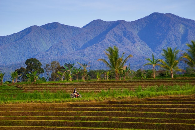 Hermosa vista matutina de Indonesia Vista panorámica de la montaña durante la mañana soleada