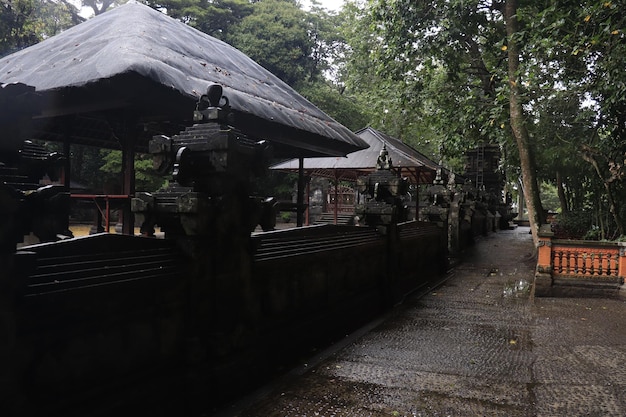 Una hermosa vista de Monkey Forest en Bali Indonesia