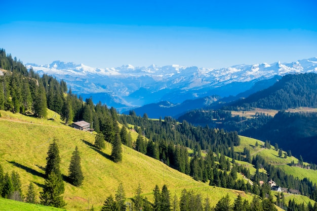 Hermosa vista de la montaña de los Alpes suizos en la montaña Rigi