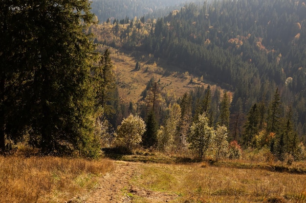 Hermosa vista de la montaña en otoño