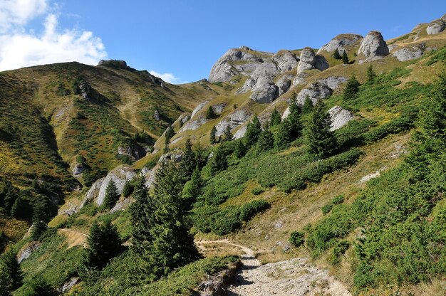 Hermosa vista de montaña rocas sedimentarias en los Cárpatos