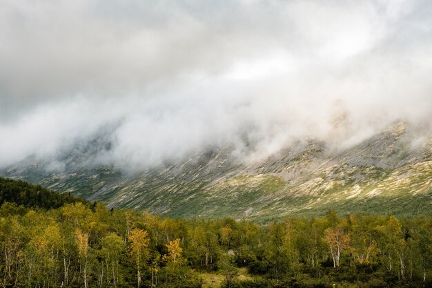 Hermosa vista de las montañas Khibiny en la niebla en verano