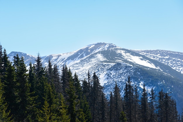 Hermosa vista de las montañas nevadas con cielo azul, durante el día soleado en primavera. Tatras Occidentales.