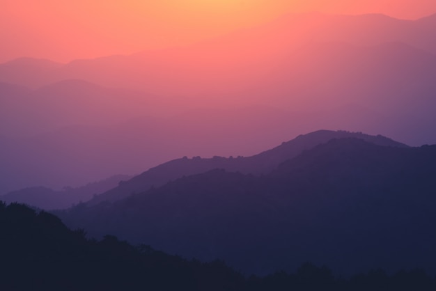 Hermosa vista en las montañas de Troodos en la niebla. Chipre