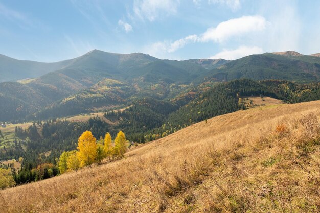 Hermosa vista de las montañas en Ucrania Maravilloso paisaje panorámico con bosque de otoño en un día soleado